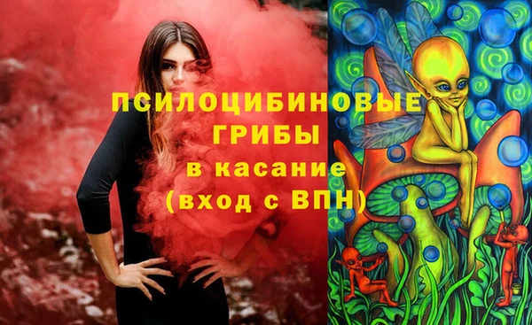 трава Арсеньев