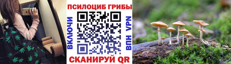 Галлюциногенные грибы прущие грибы  Усмань 